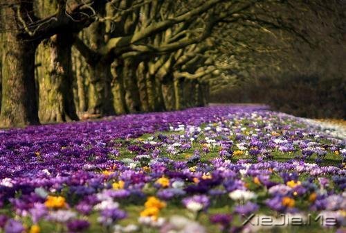 请你善良,无论这世界多冷漠 (2)