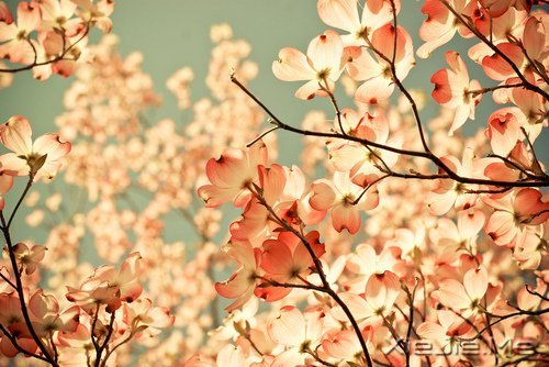 请你善良,无论这世界多冷漠 (4)