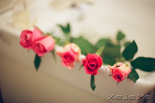 晚安心语:我想要的,一直很简单 (1)